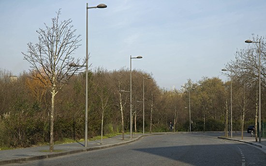 Novo pulmão da cidade no Campus 1 do P.PORTO