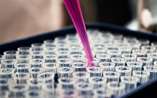 Rastreio e diagnóstico precoce em doentes com cancro