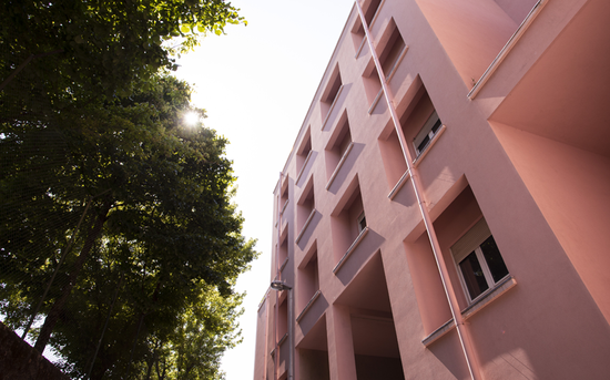 Investigador do P.PORTO em projeto sobre imunidade ao COVID-19